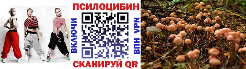 МЕГА вход  Мосальск  Псилоцибиновые грибы Magic Shrooms  купить  